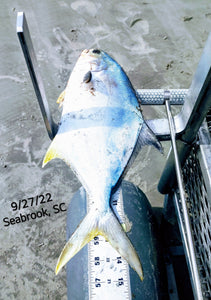 Demo's HD Double Drop Surf Rig (Yellow & Blue)